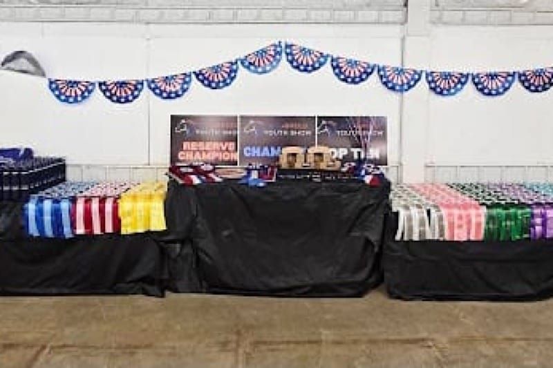 How to Make Your Horse Show More Engaging and Fun for All Ages