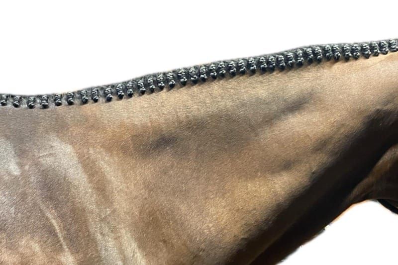 To Braid or Not to Braid-How Far Should Tradition Evolve?