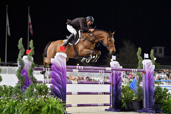 Teaching Your Show Jumper to Be Careful and Clean in the Ring