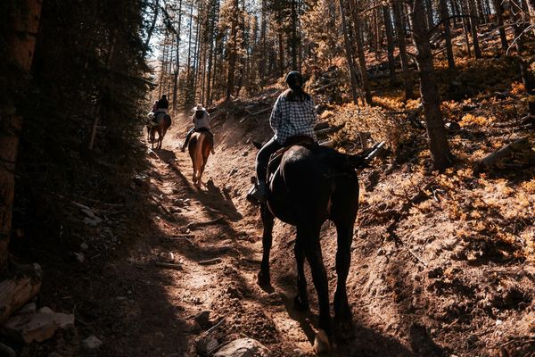 Take to the Trails: A Beginner’s Guide to Trail Riding