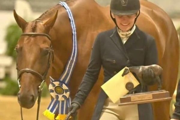 How to Prepare for the All American Quarter Horse Congress