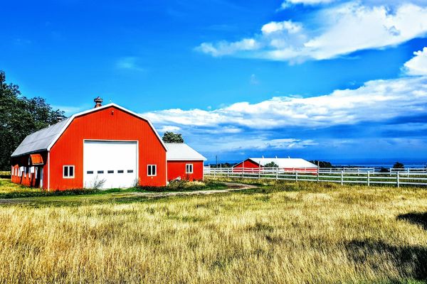 How to Avoid Barn Drama (and Keep the Peace in the Aisle)