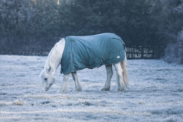 Blanketing Basics: How to Keep Your Horse Healthy & Happy