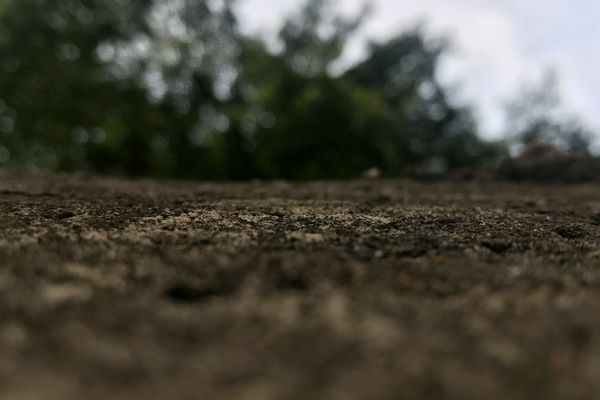 The Dry Lot Advantage: Creating a Safe, Healthy Space for Your Horse