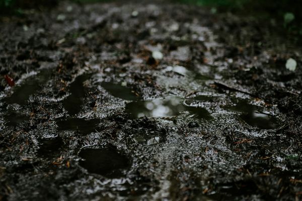 Conquering the Mess: A Horse Owner’s Guide to Dealing With Mud