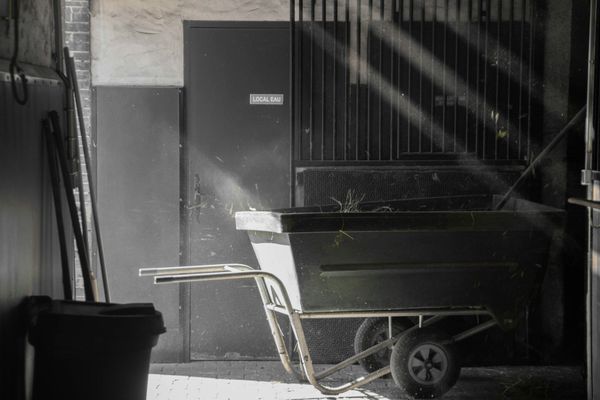 9 Practical Barn Organization Ideas