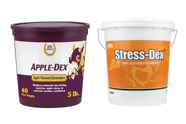 Why Electrolytes Matter