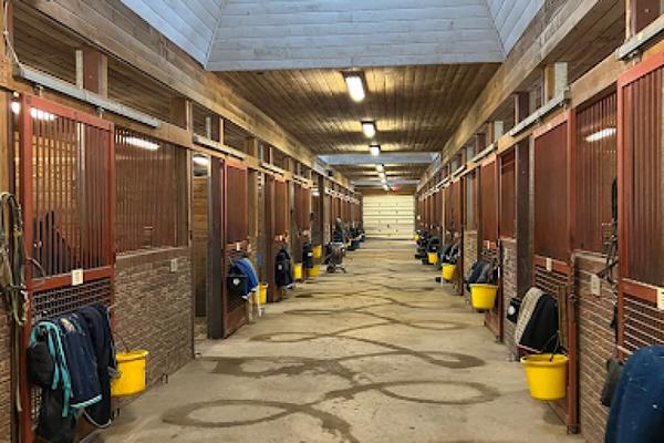 How to Start a Successful Horse Boarding Business: What Every Equestrian Should Know