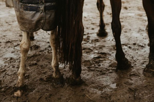 Tackling Mud at the Barn