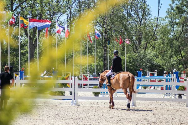 Moving Up a Level This Show Season: A Friendly Guide for Riders and Parents