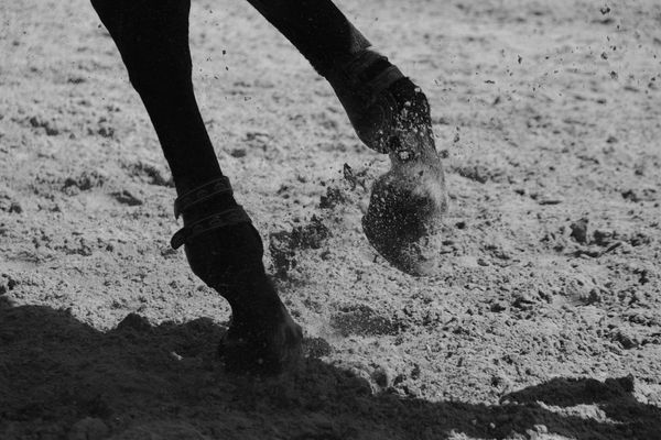 Working Smarter With Ground Poles and Cavaletti to Build Strength and Coordination