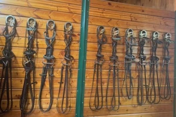 Tack Cleaning Tips