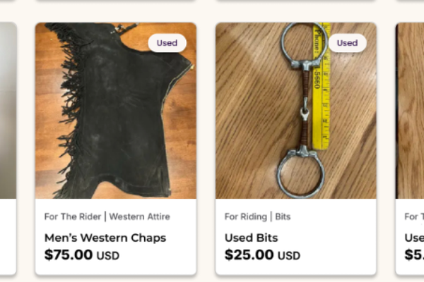 Selling Equestrian Items on the Secondary Online Marketplace