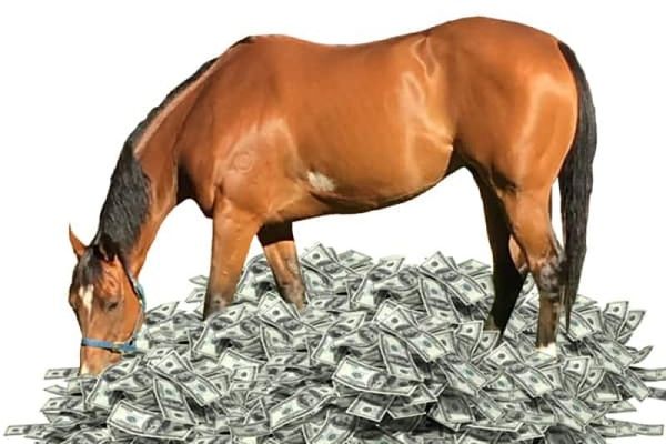 Does the Horse Industry’s Commission Culture Needs a Reboot?
