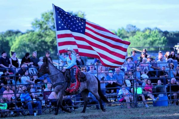 Working Horses to Honor This Labor Day