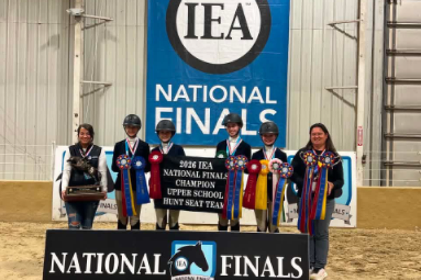 Thinking About IEA? Take the Reins & Join the Fun!