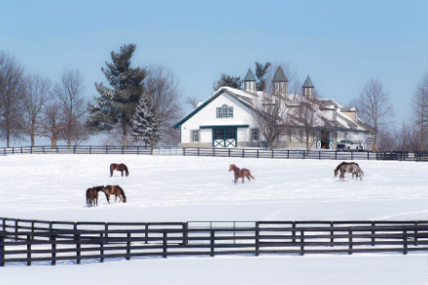 Preparing Your Barn for Winter: A Thorough Checklist for Horse Owners