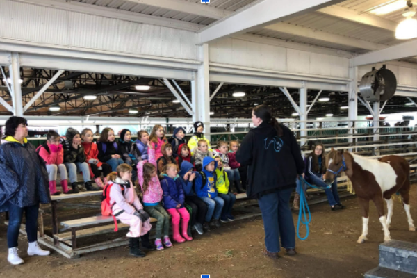 How to Start an Open Barn Day at Your Farm