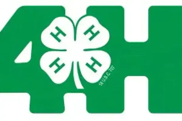 Celebrating National 4-H Week: Spotlight on the 4-H Horse Program