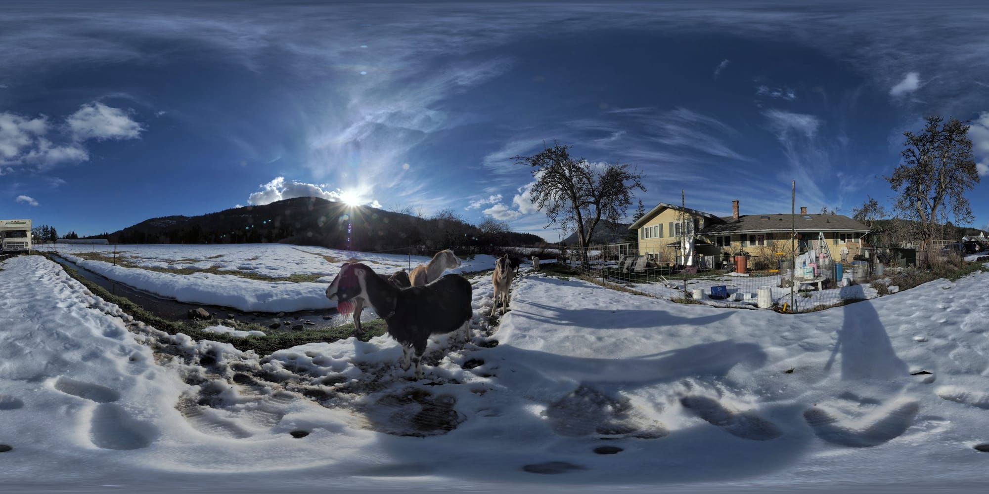 Civilization's Discontents