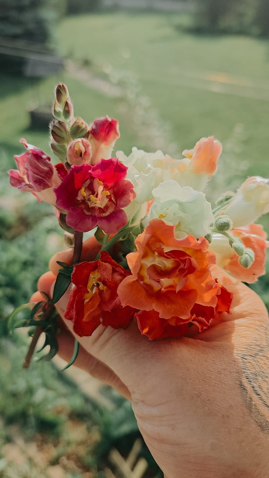 Flowers & Antique Doors