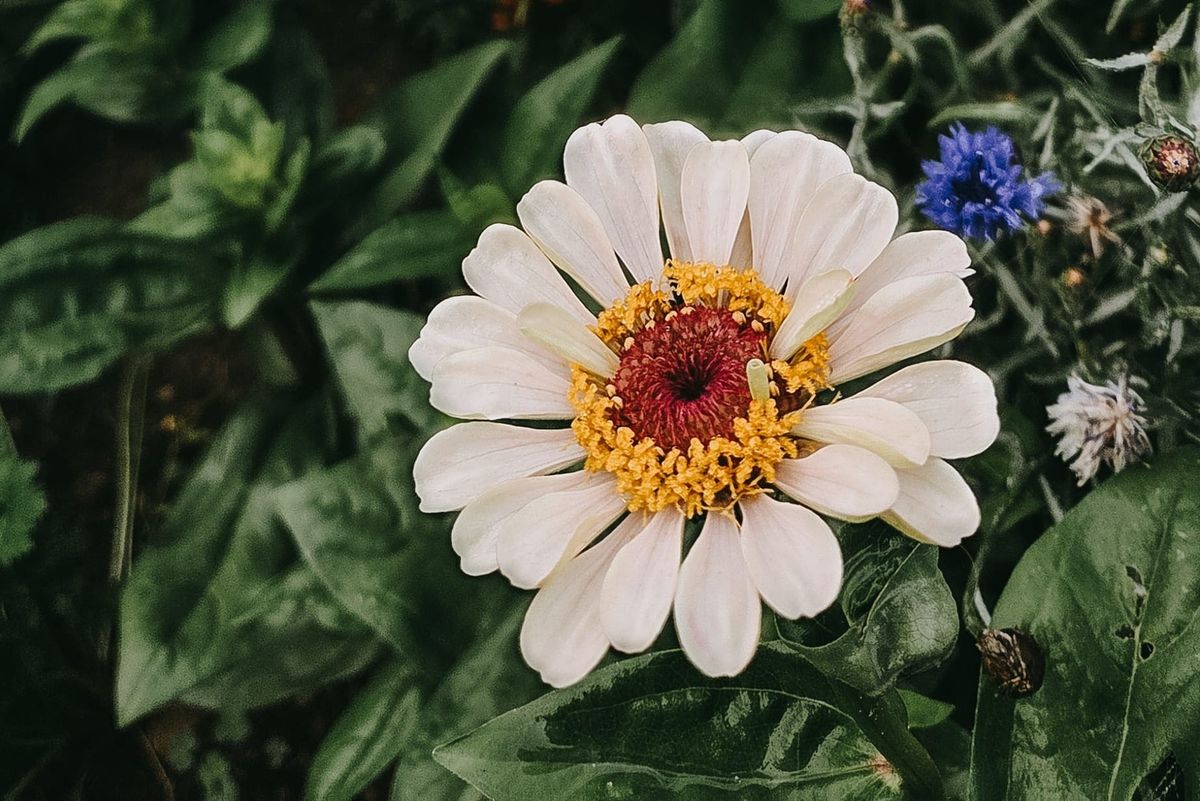 Resisting the Urge to Jump Seasons