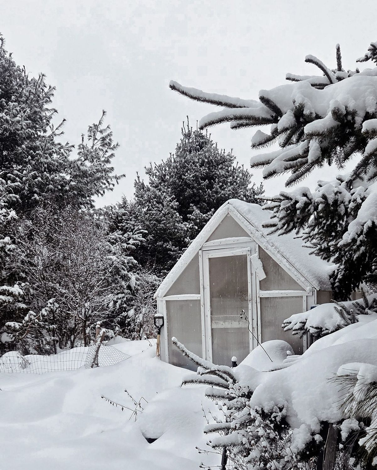 Choosing Slow, Seasonal Living: An Old-School Approach to 2026