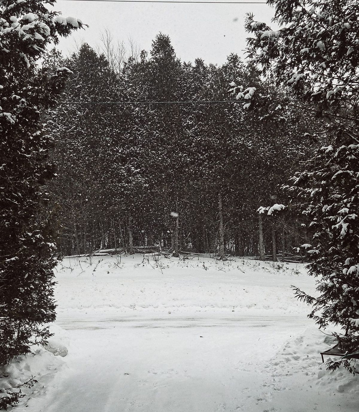 Winter Field Note: Trust Is Part of the Process