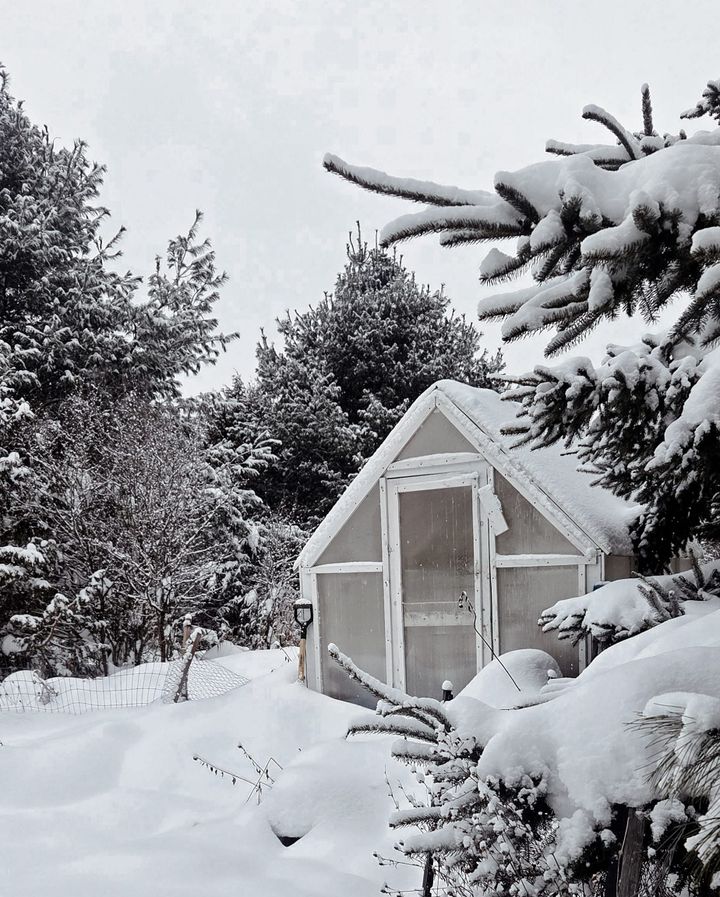 Choosing Slow, Seasonal Living: An Old-School Approach to 2026