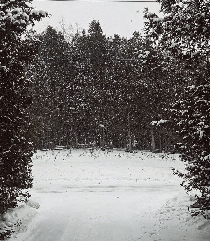 Winter Field Note: Trust Is Part of the Process