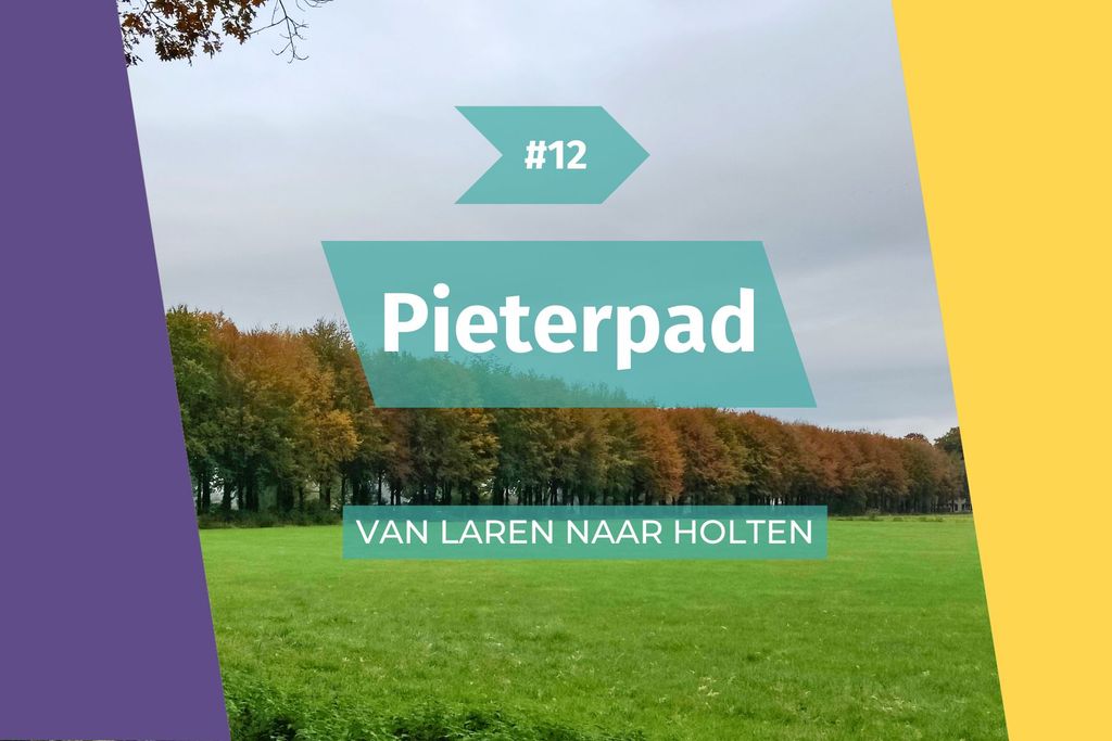 Afbeelding van: Onder wolken koersend op de Sallandse Heuvelrug