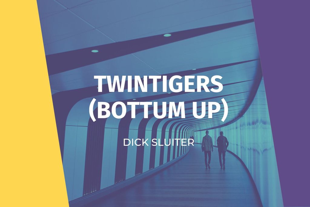 Afbeelding van: Twintigers