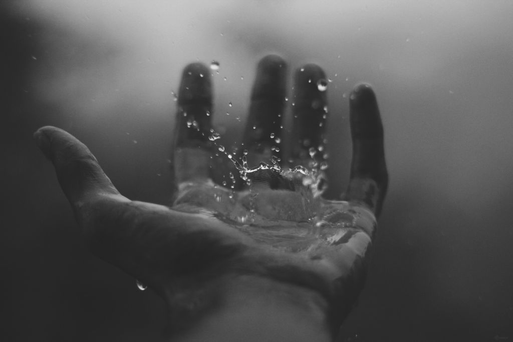 Afbeelding van: Lines of your Hands