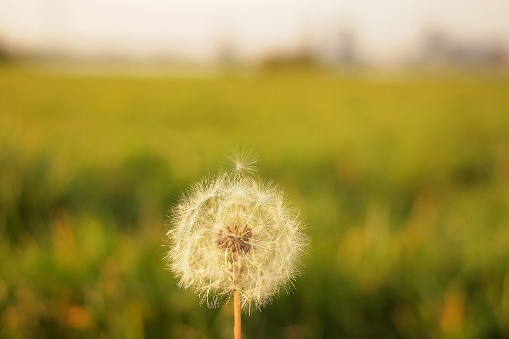 Afbeelding van: Helse zomer 7: wishfulthinking
