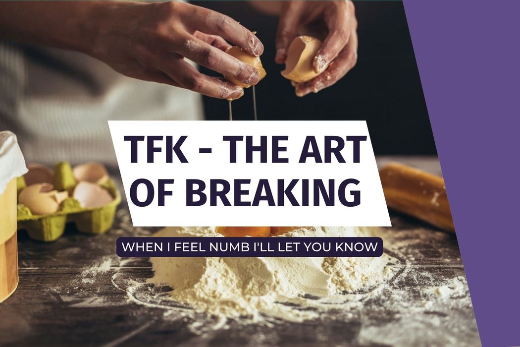 TFK - The Art of Breaking