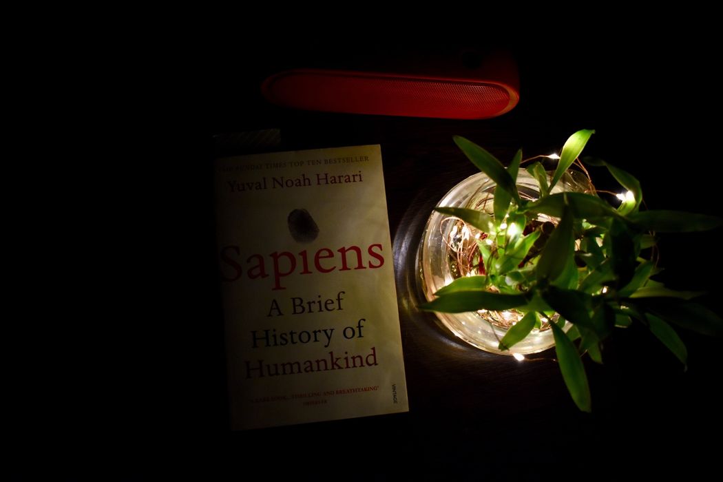 Sapiens