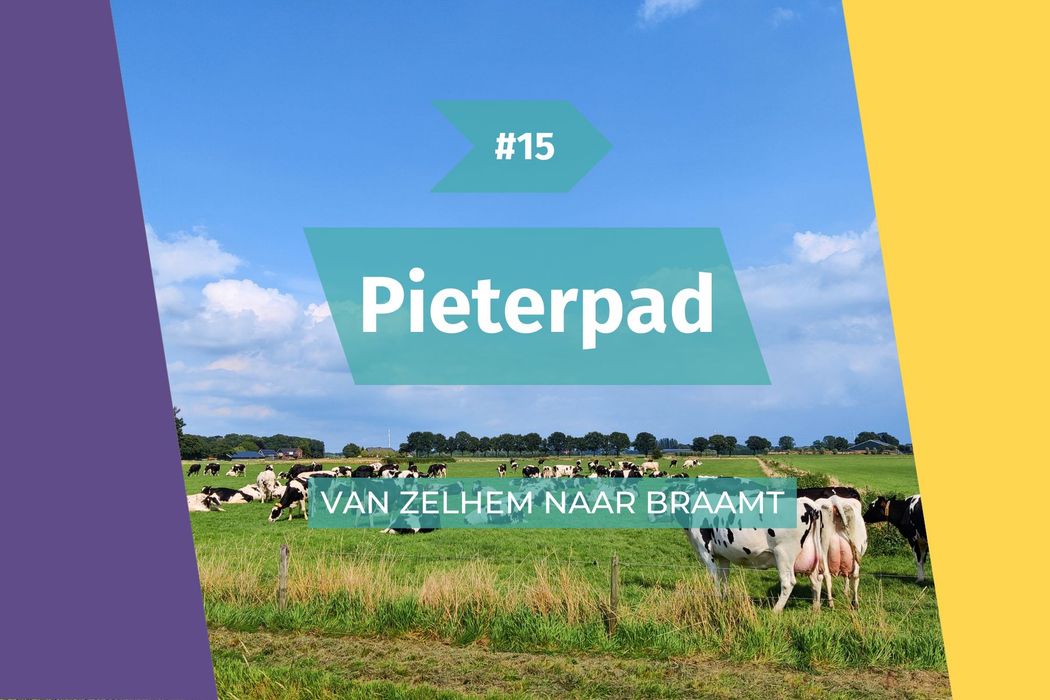 Door de achtertuin van mijn schoonouders
