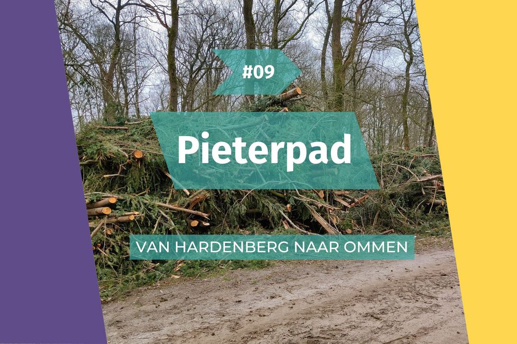 Meanderend langs de Vecht