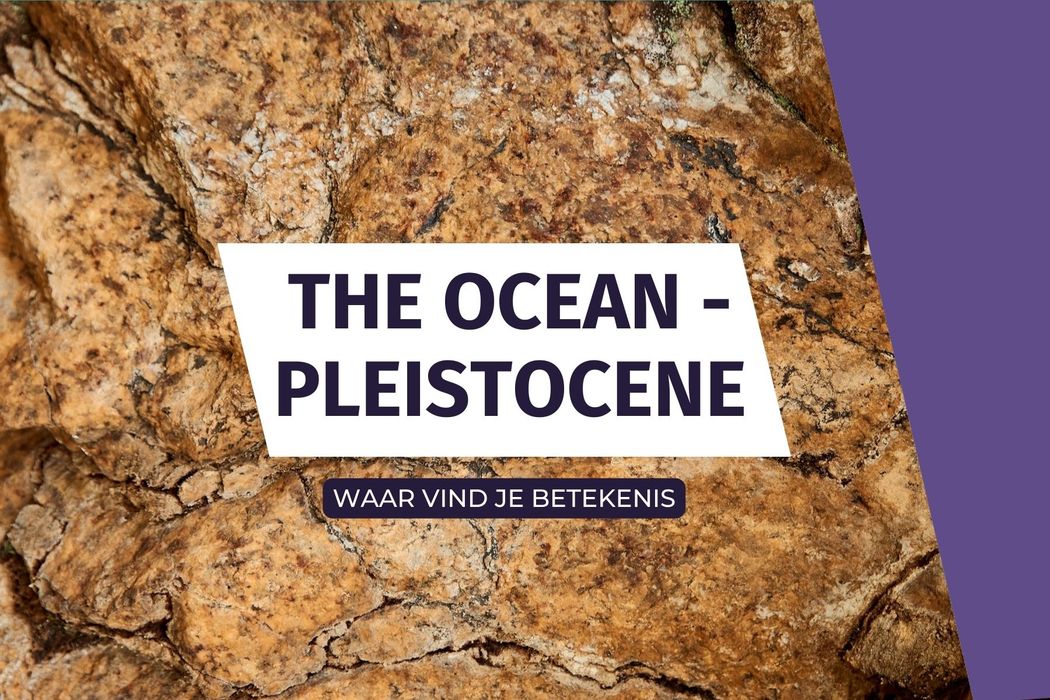 The Ocean - Pleistocene