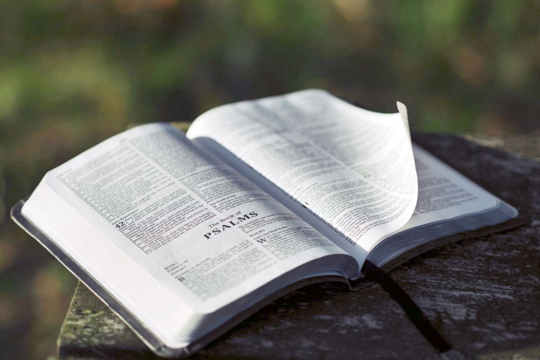 Psalm 102