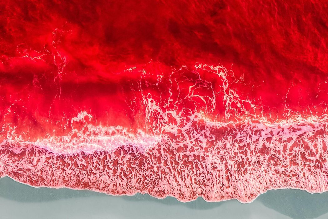 Red Sea