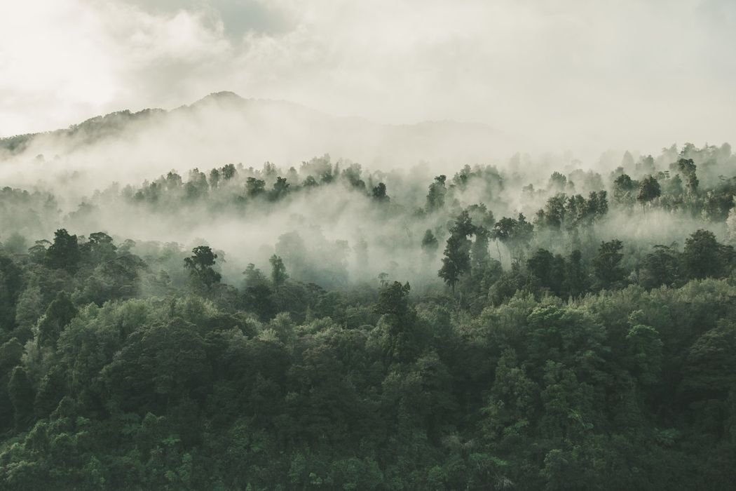 Silence (2016)