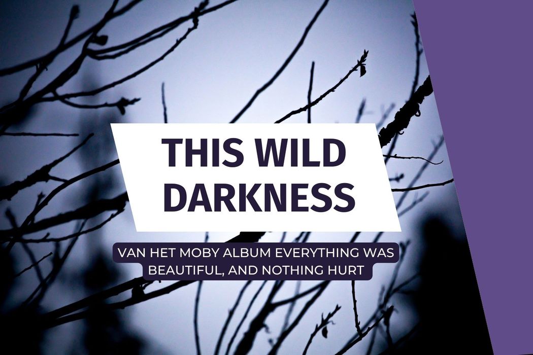 This Wild Darkness