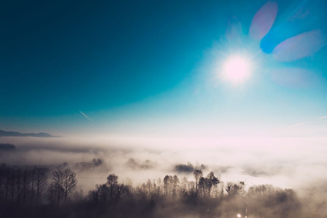 Schepping, evolutie en 'intelligent design' deel 2