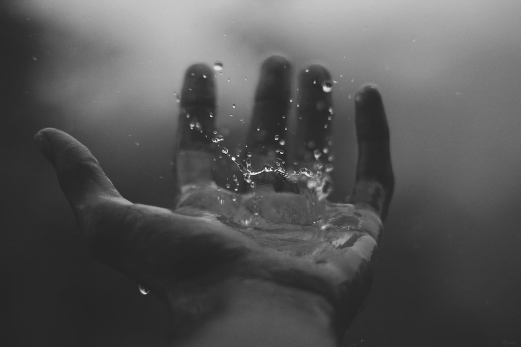 Lines of your Hands