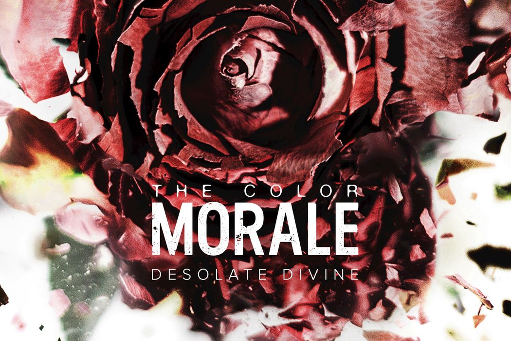 The Color Morale - Walls