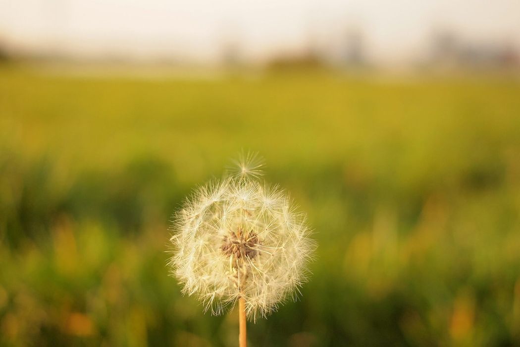 Helse zomer 7: wishfulthinking