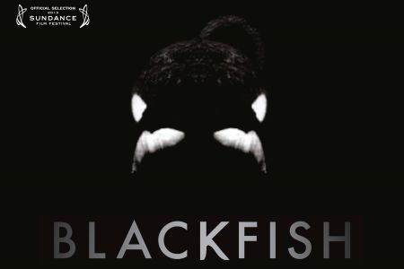 Afbeelding van: Blackfish