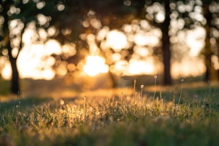 Afbeelding van: Rust en geluk