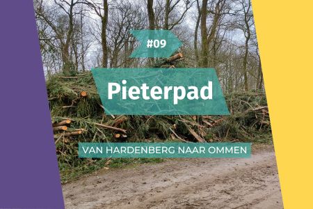 Afbeelding van: Meanderend langs de Vecht
